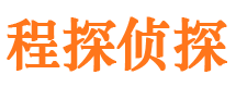 湖滨侦探公司